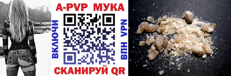 где купить наркоту  Сураж  сайты даркнета как зайти  A PVP СК 