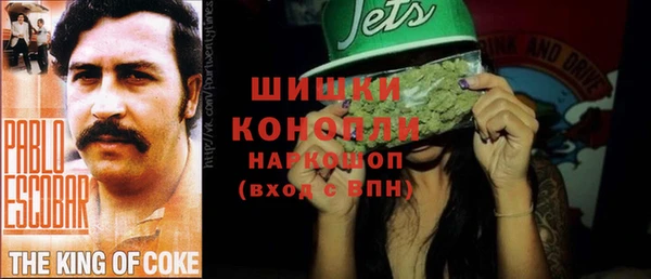 ешки Аркадак