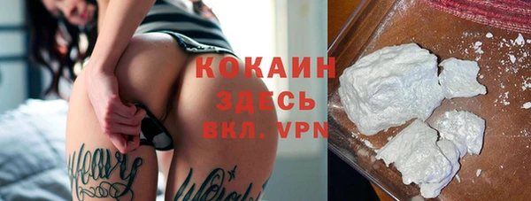 ешки Аркадак