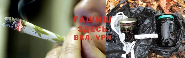 ешки Аркадак