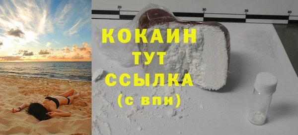 СК Сафоново