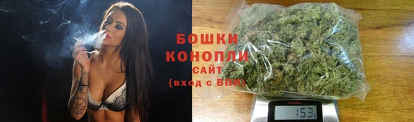 ешки Аркадак