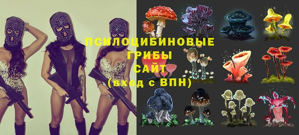 ешки Аркадак