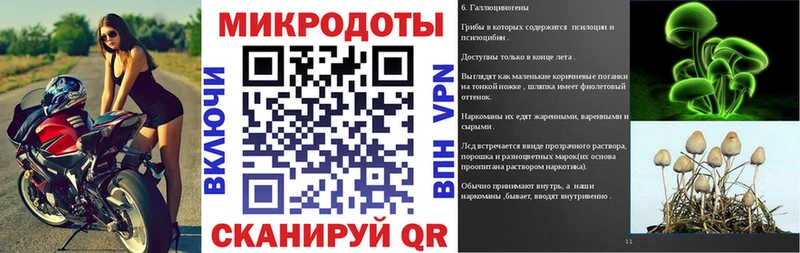 закладки  Сураж  Галлюциногенные грибы Psilocybe 